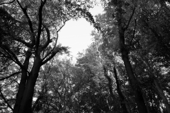 DSC_5360